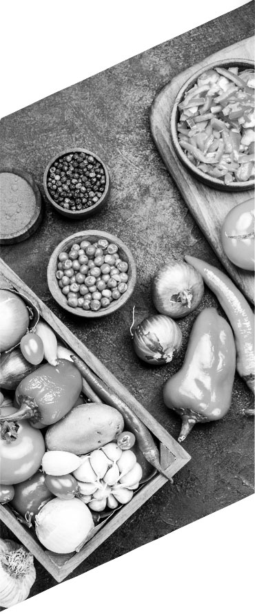 projekt sklepu internetowego gala