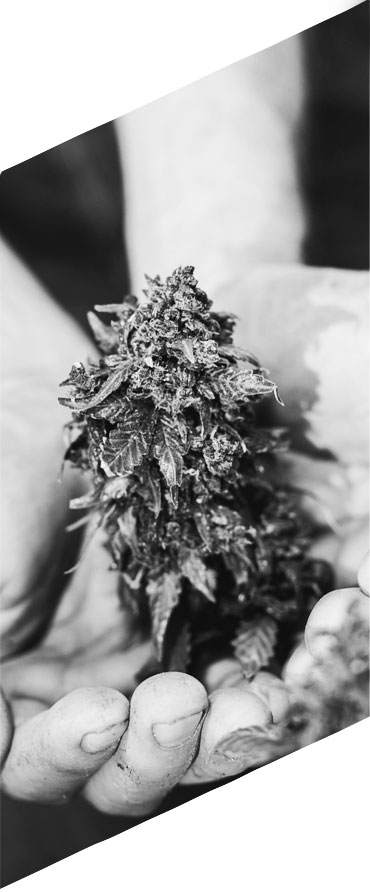 projekt sklepu internetowego encann