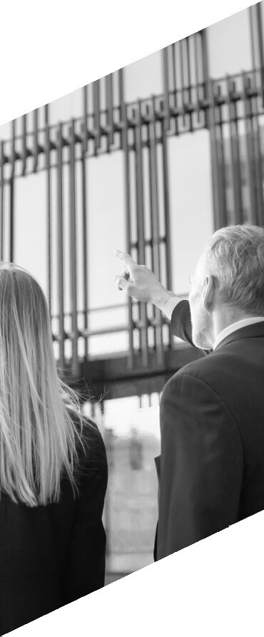 identyfikacja wizualna projektu logo EDS