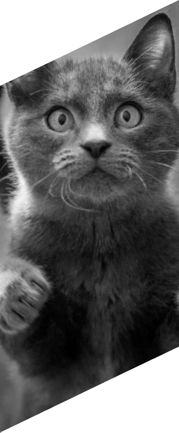 identyfikacja wizualna projektu logo LapLap