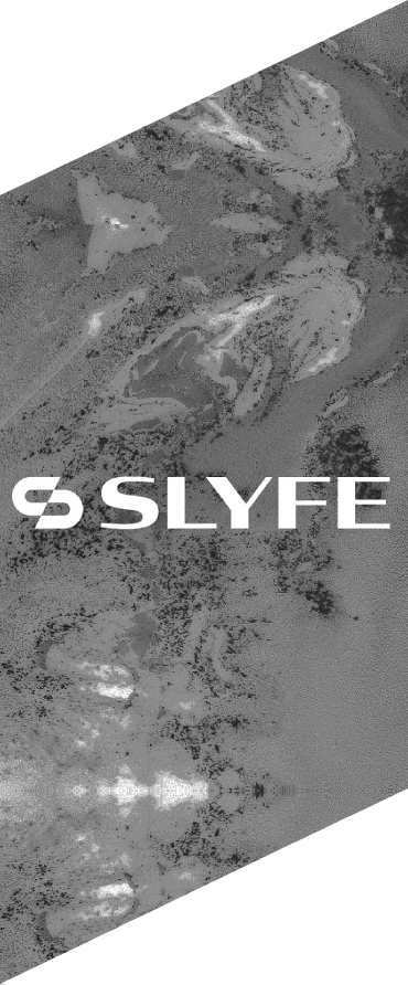 identyfikacja wizualna projektu logo Slyfe